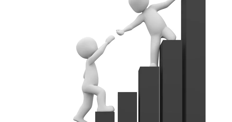 La structure interne : un parti qui cherche sa direction