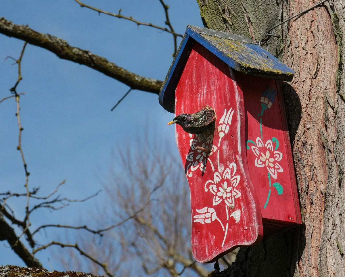 Incubateurs et Accélérateurs : Bien plus qu'un bureau